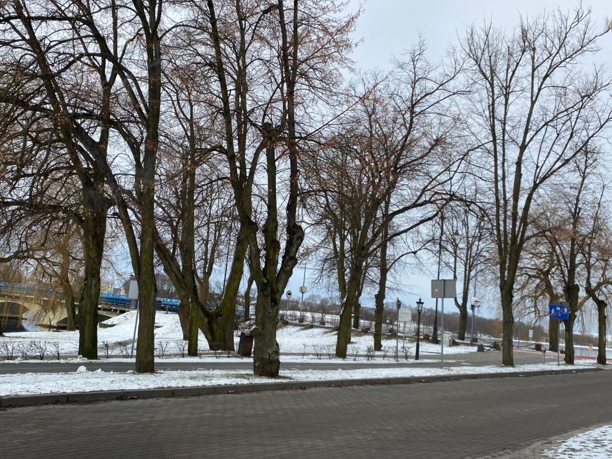 Inalda Elk